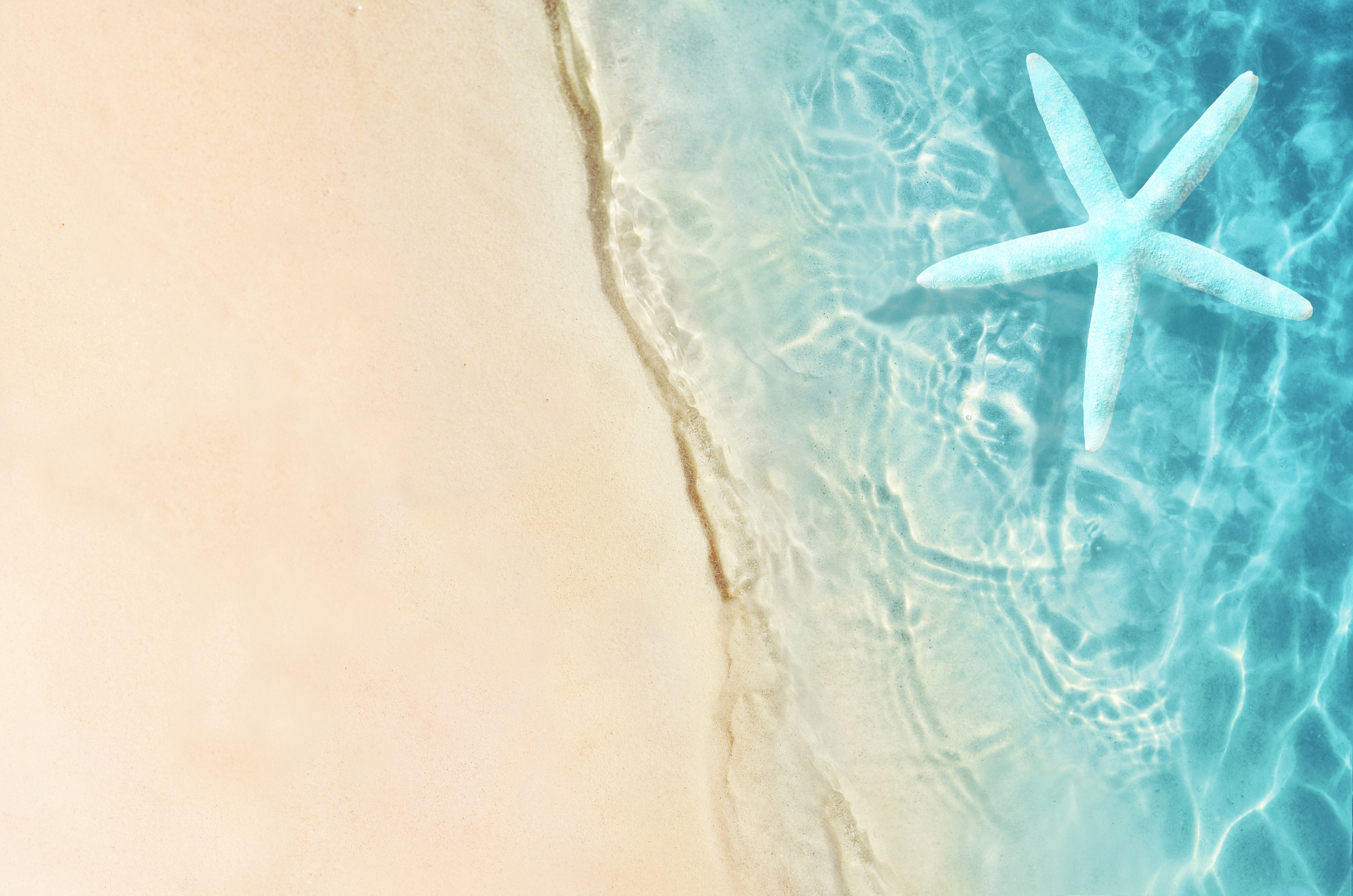 Summer sand beach background. Starfish and sea. Summer concept.